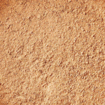 504 Neutral Beige