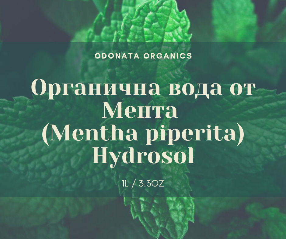 органик-хидролат-мента-одоната-козметикс Органичен хидролат от мента - Peppermint (Mentha piperita) -1Л.