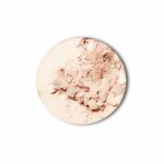 pressed-powder-light-squashed-BAIMS-10-odonata