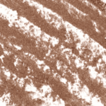 Pearly Brown 582