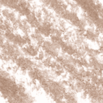 Pearly Taupe 583