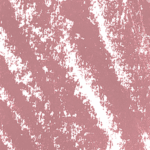 Rose 584