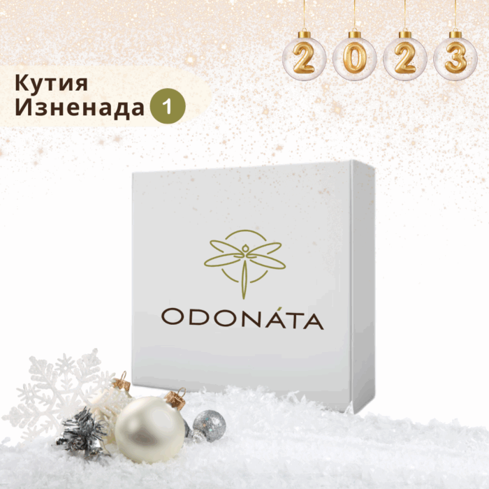 Коледен комплект "изненада 1" - Image 1