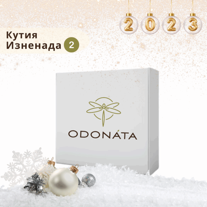 Коледен комплект "изненада 2" - Image 1